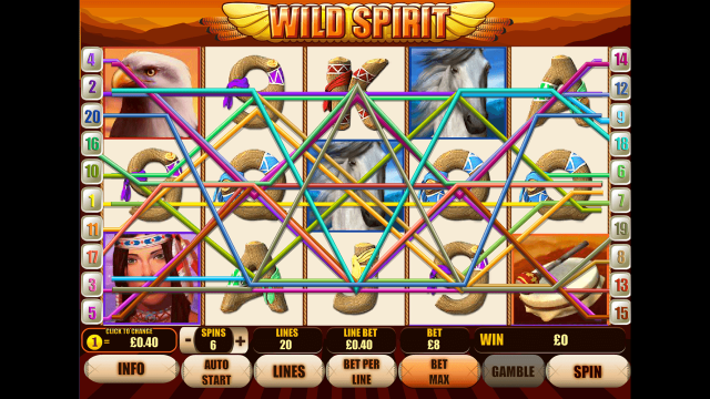 Бонусная игра Wild Spirit 5